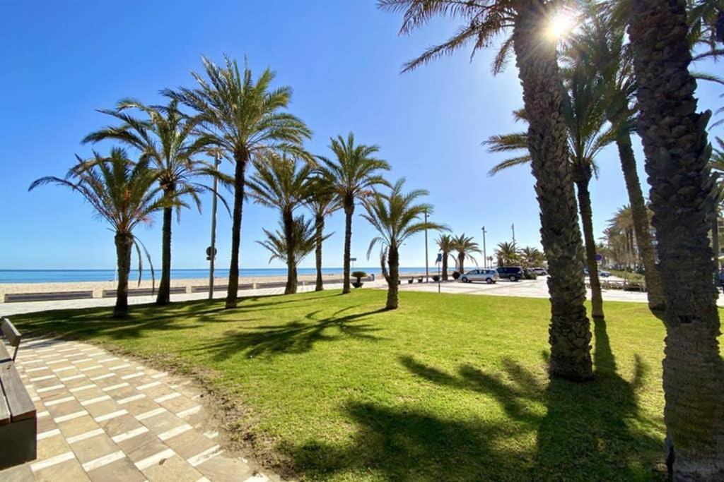 Nereo 7 Primera Linea De Playa San Juan Piscina, Parking Wifi Inmobiliaria Leo アリカンテ エクステリア 写真